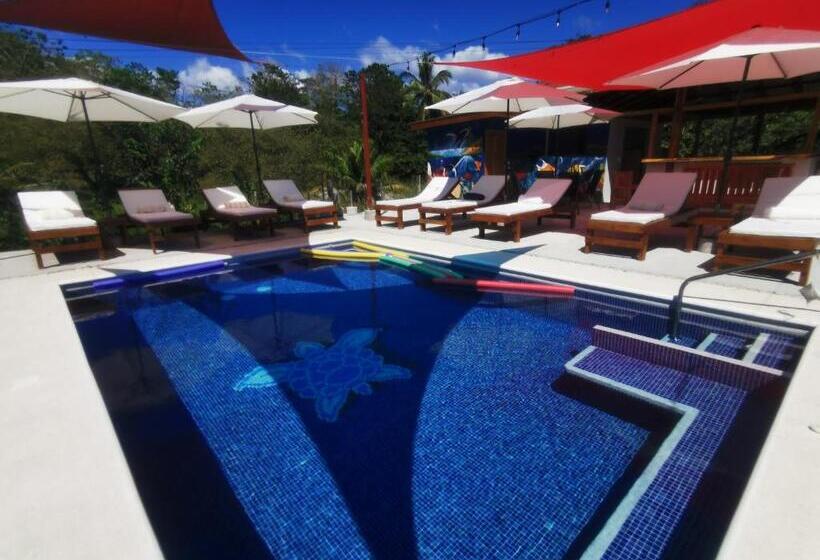 هتل Tuki Tuki Lodge