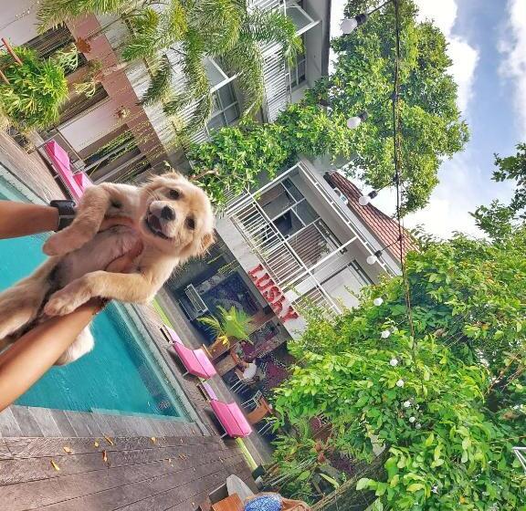 Lushy Hostel Canggu