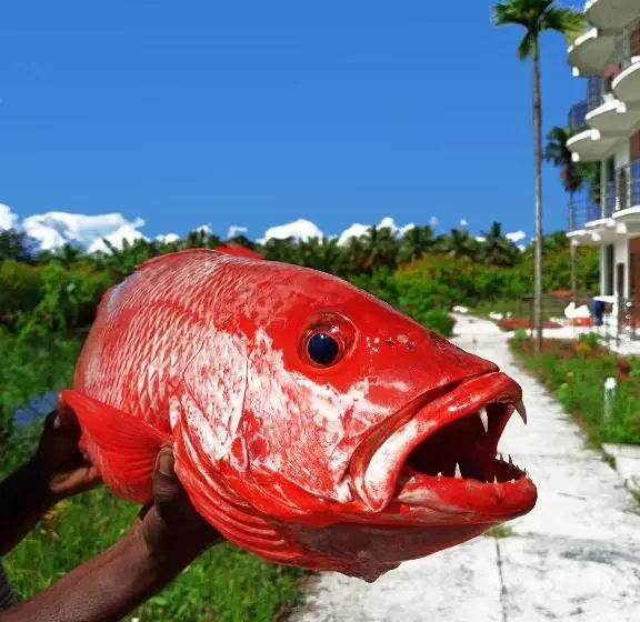 Parkresort   Organic Farm Resort