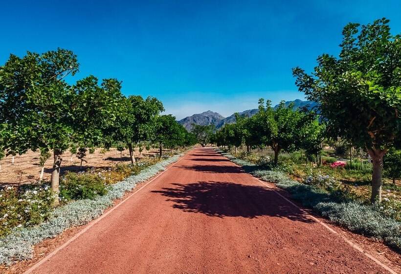 Пансион Ludus Magnus Boutique