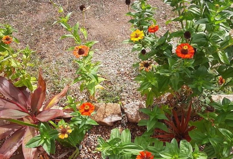 הוסטל Chalé Bons Ventos