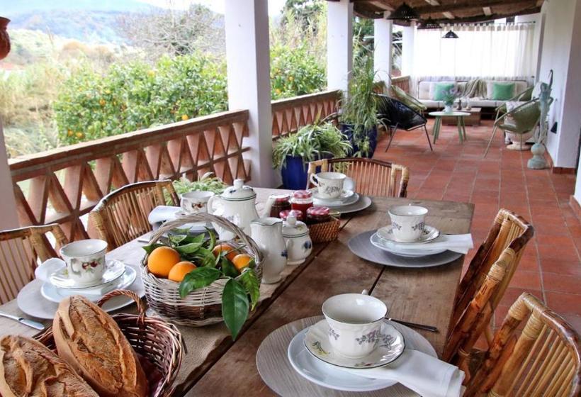 ベッドアンドブレックファースト Casa Del Rio Boho Chic Retreat