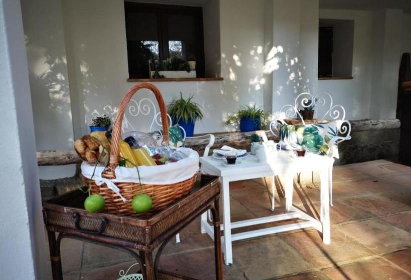 ベッドアンドブレックファースト Casa Del Rio Boho Chic Retreat