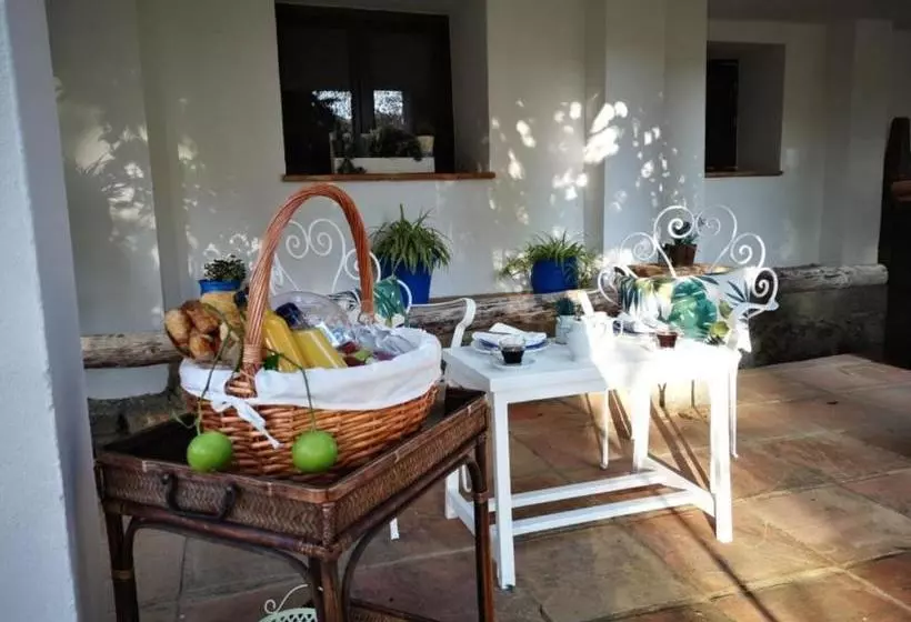 تختخواب و صبحانه Casa Del Rio Boho Chic Retreat