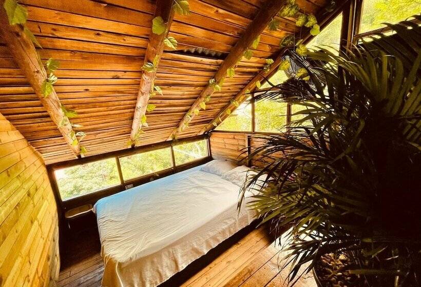 ペンション Tamarindo Beach Hostel