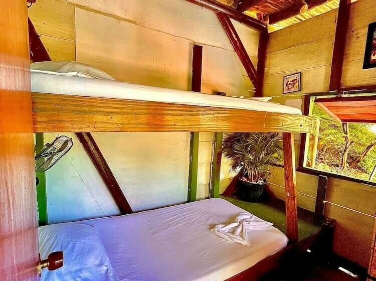 ペンション Tamarindo Beach Hostel