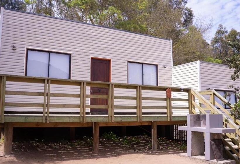 Cabañas Laguna De Zapallar Maitencillo