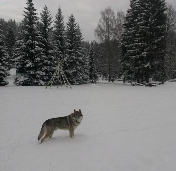 בית מלון כפרי česká Farma