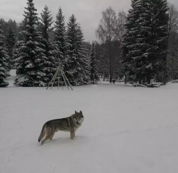 Hotelli česká Farma