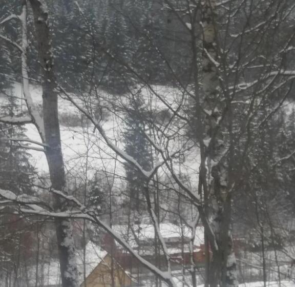 בית מלון כפרי česká Farma