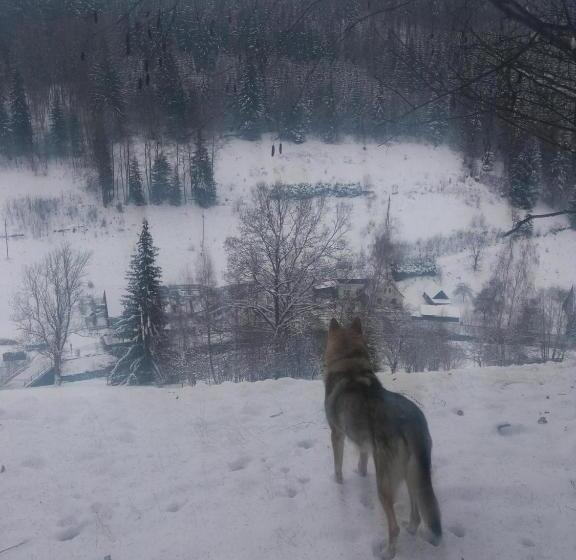 בית מלון כפרי česká Farma