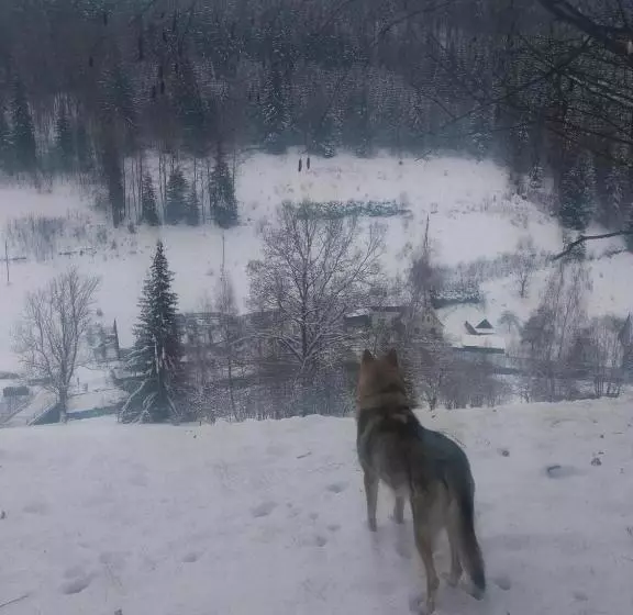 Hotelli česká Farma