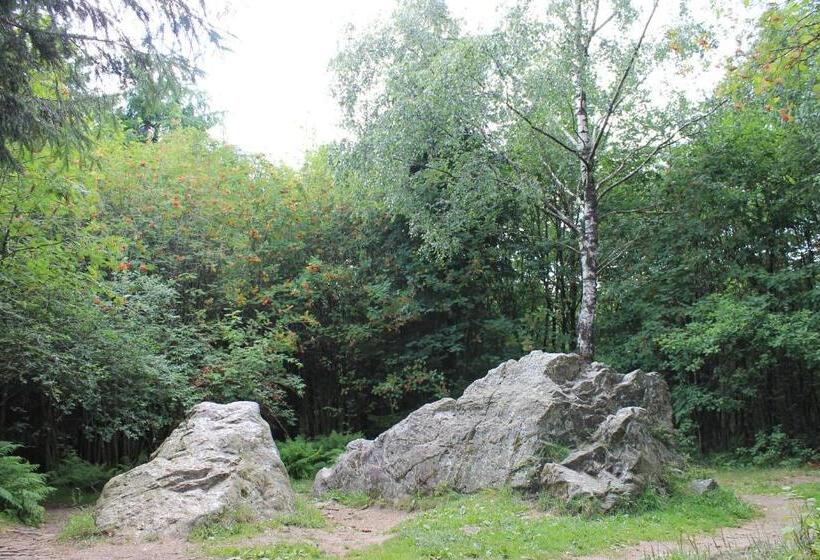 ペンション Gästehaus Kuck