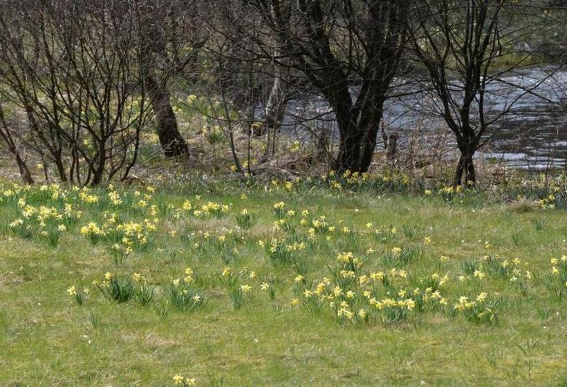 ペンション Gästehaus Kuck