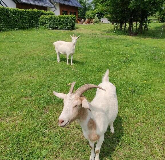 ペンション Gästehaus Kuck