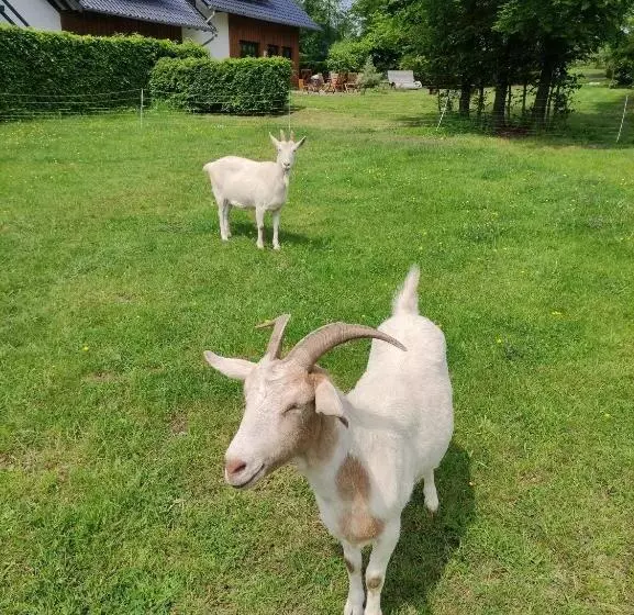 Majatalo Gästehaus Kuck
