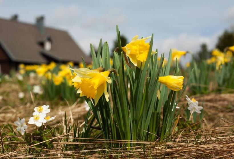 Pensió Hospoda Na Jizerce