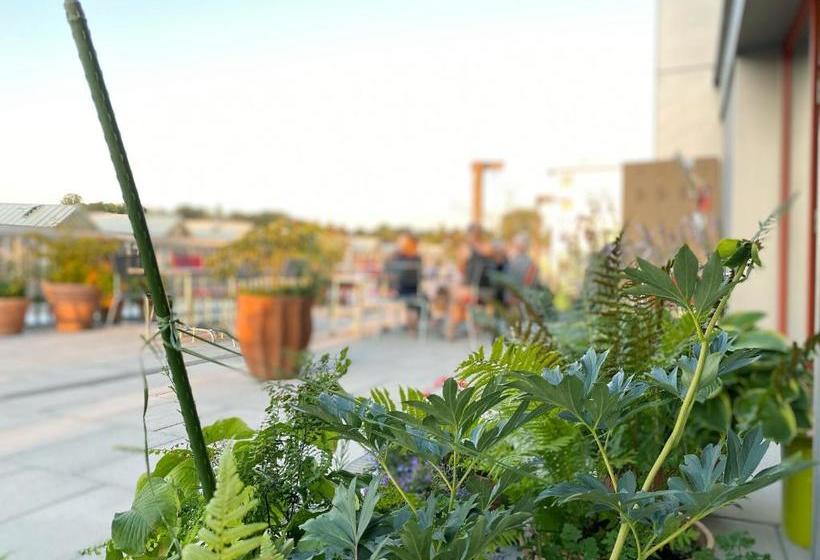 פנסיון Gästehaus Am Lagerplatz