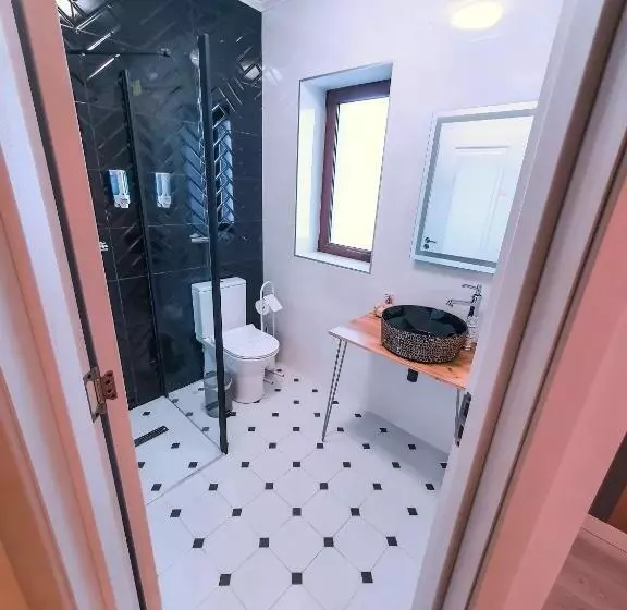 ペンション Transylvania Mountain View Cdi