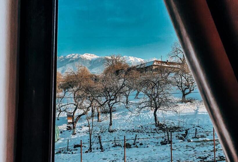 پانسیون Transylvania Mountain View Cdi