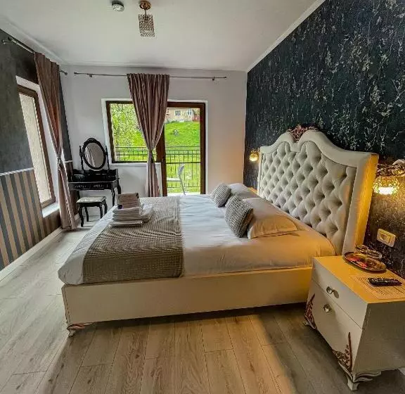 ペンション Transylvania Mountain View Cdi