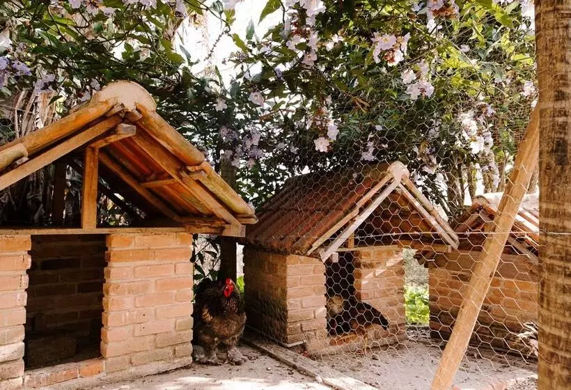 Hotelli Alpha Ville Chalés