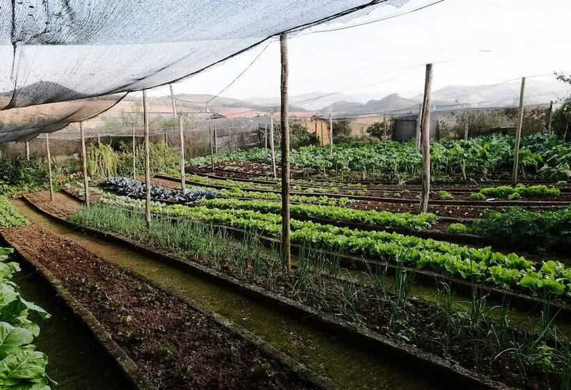 Hotelli Alpha Ville Chalés