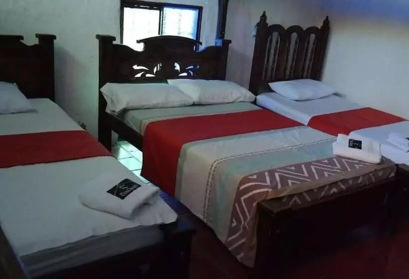 ホテル Casa Posada Don Chepe