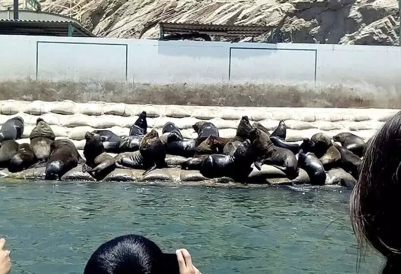 هتل Marina Del Bay