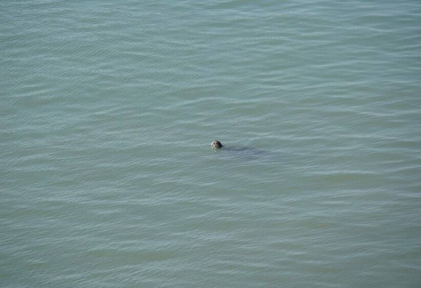 호텔 Marina Del Bay