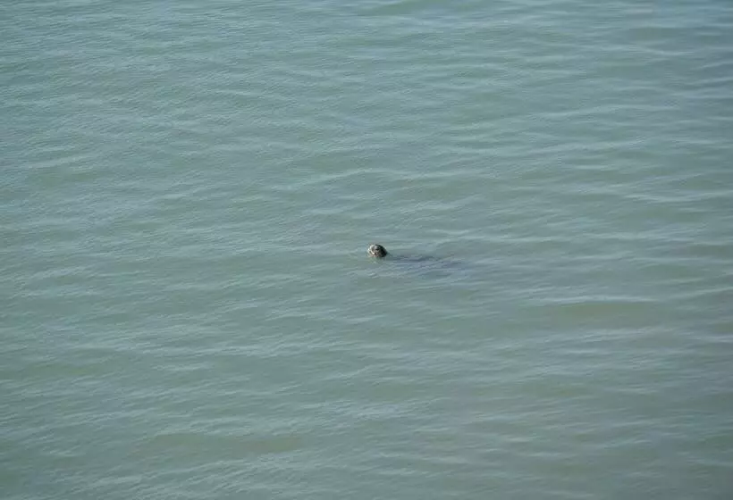 هتل Marina Del Bay