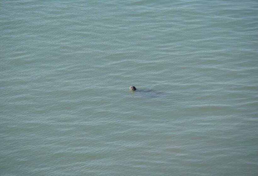 호텔 Marina Del Bay