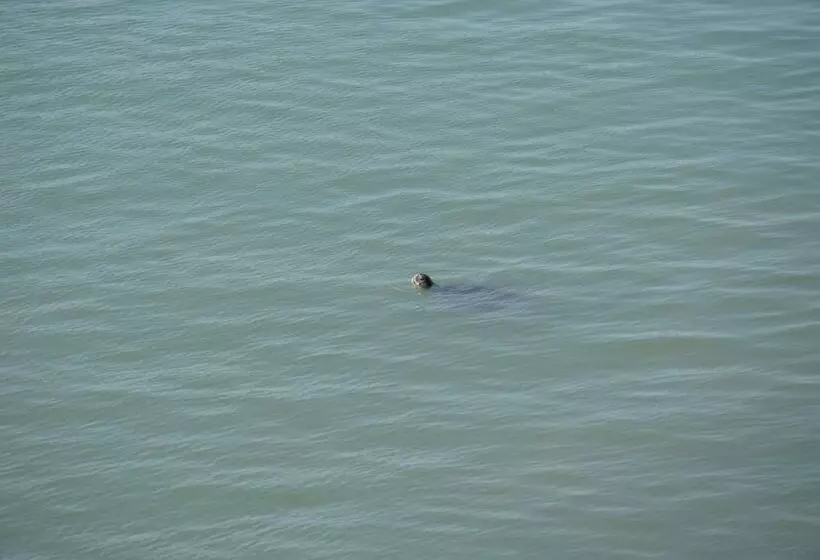 هتل Marina Del Bay