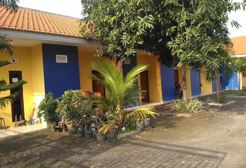 Pansiyon Kost Backpacker