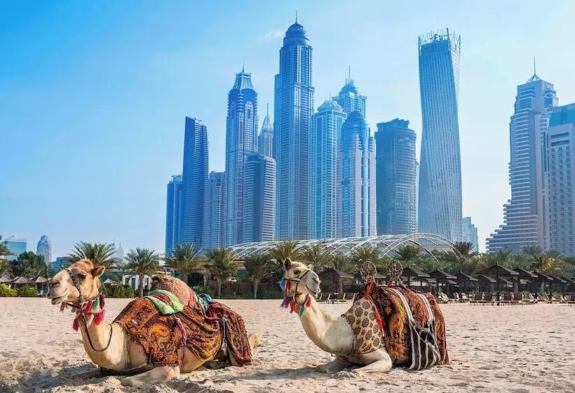 هتل Al Habtoor Grand Resort, Autograph Collection