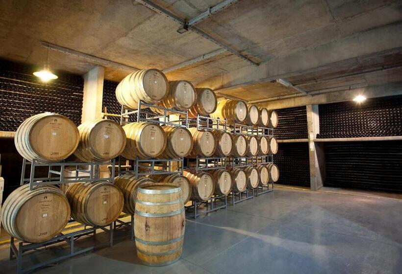 Hotel Algodon Wine Estates & Champions Club