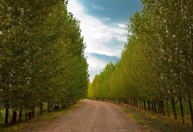 هتل Algodon Wine Estates & Champions Club