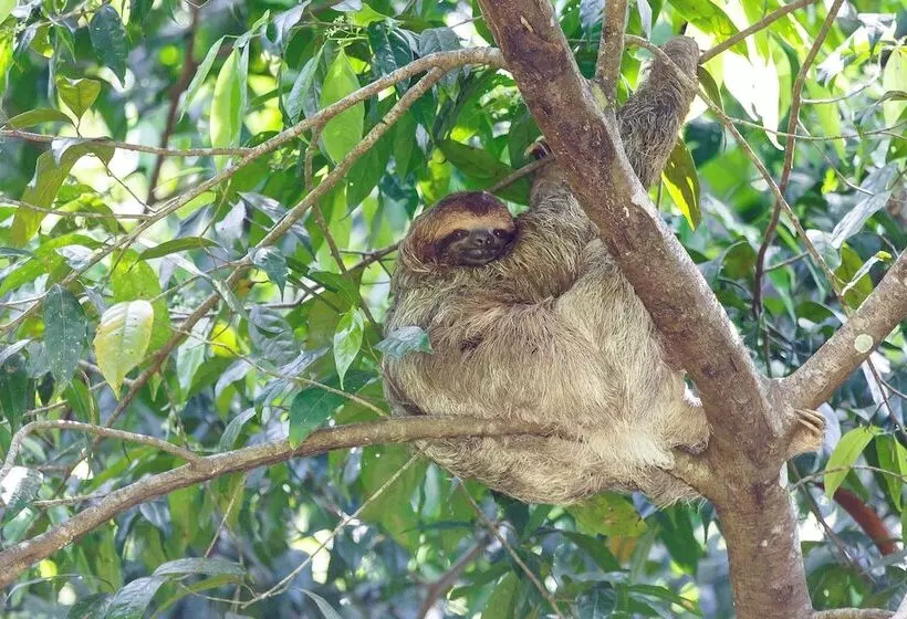 酒店 Cuna Del Angel