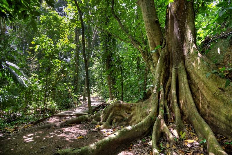 Отель Cuna Del Angel