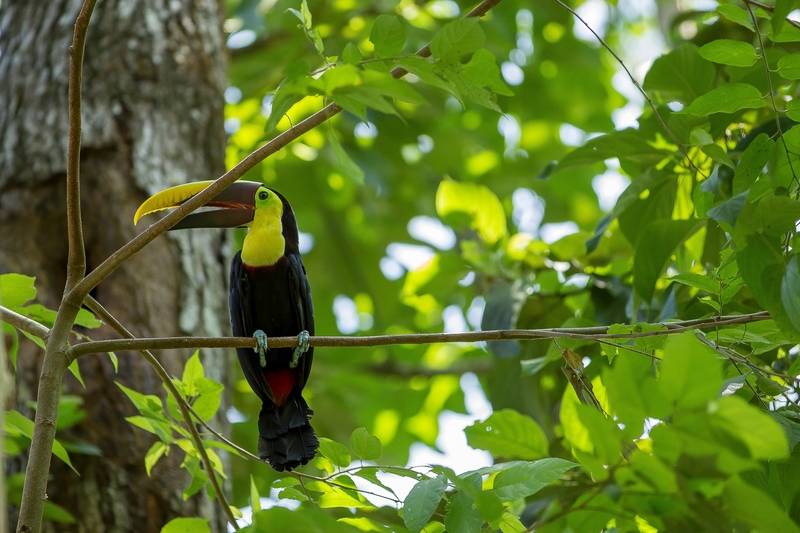 Отель Cuna Del Angel