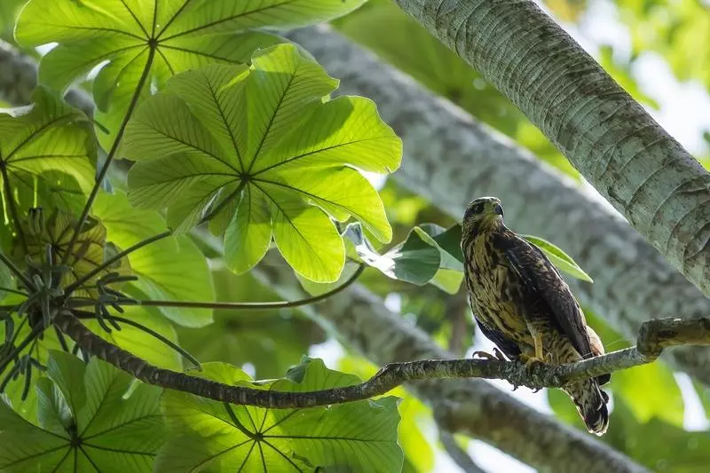 酒店 Cuna Del Angel