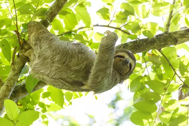 酒店 Cuna Del Angel