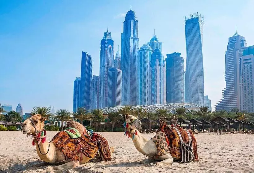 هتل Al Habtoor Grand Resort, Autograph Collection