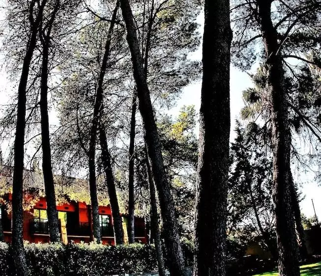 호텔 Portal Del Caroig