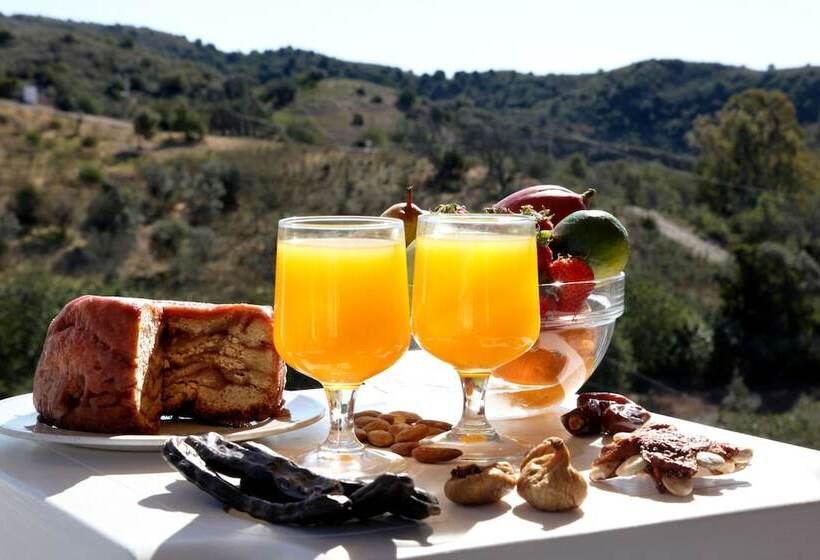 فندق ريفى Herdade Da Corte