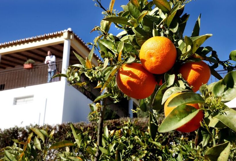 فندق ريفى Herdade Da Corte