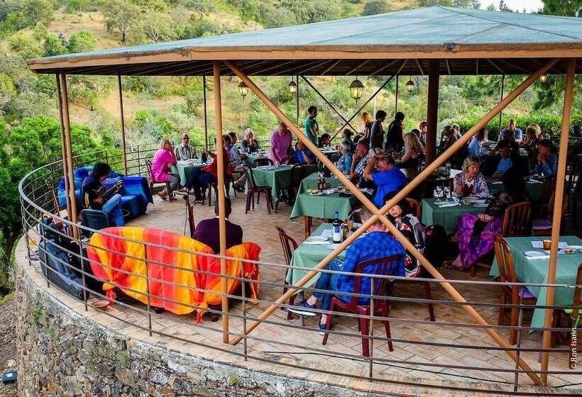 فندق ريفى Herdade Da Corte