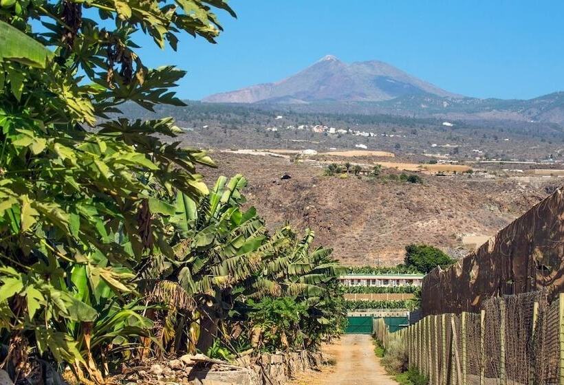 فندق ريفى Rural El Navio - Adults Only