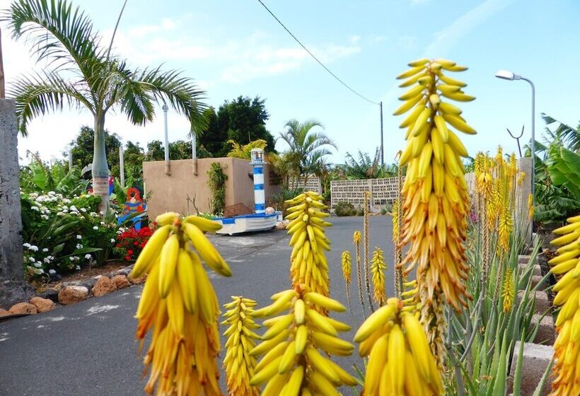 فندق ريفى Rural El Navio - Adults Only