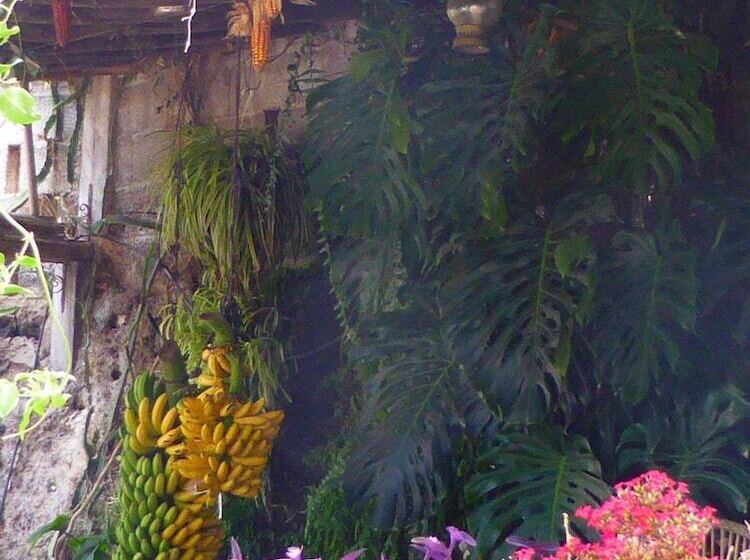 فندق ريفى Rural El Navio - Adults Only